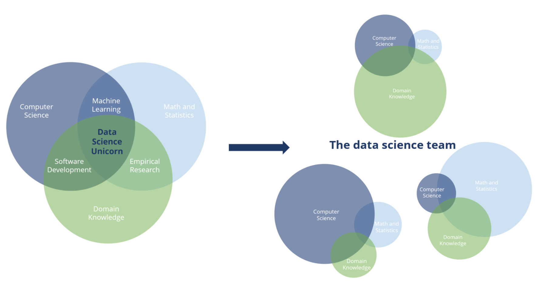 data_science_team