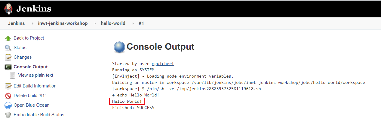 jenkins_console_output