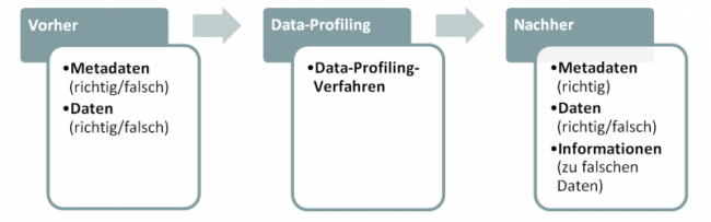 Ziele Data Profiling