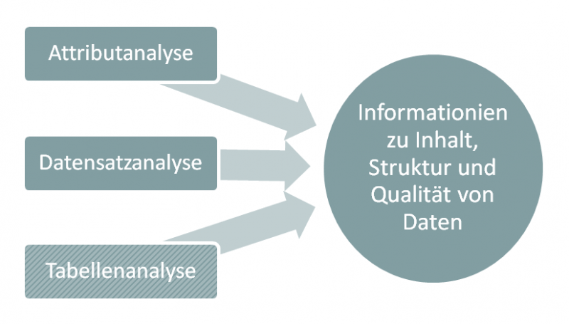 Ebenen Data Profiling